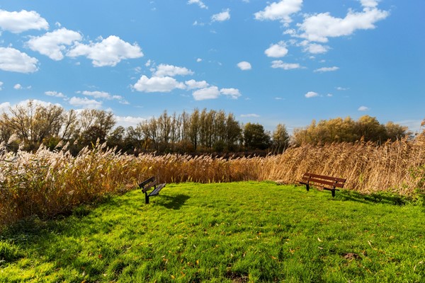 Westerdiep 39-38.jpg